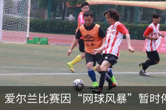 爱尔兰比赛因“网球风暴”暂时停摆，球迷用行动传递信念
