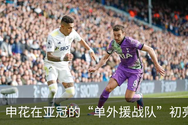 申花在亚冠的“单外援战队”初亮相，能否打破常规？