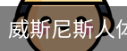 威斯尼斯人体育移动首页